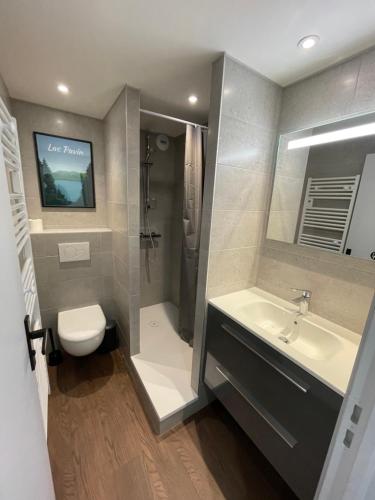 une salle de bains avec lavabo, toilettes et douche dans l'établissement L'Ecrin d'Edern 4pers Mont Dore, à Le Mont-Dore