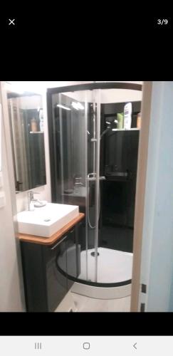 une salle de bain avec douche et lavabo dans l'établissement Chez Philippe, à Eaux-Bonnes