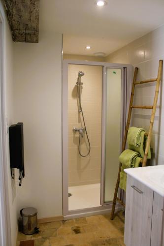 a bathroom with a shower with a glass door at LE CLOS DES PIERRES ROUGES in Burgy