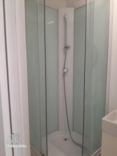 a shower with a glass door in a bathroom at 1 bedroom studio sleeps 4 in Brussels