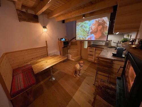 ein Hund steht in einem Raum mit einem großen Bildschirm in der Unterkunft La cabaña de Lilith in Aren