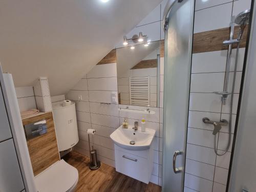 a small bathroom with a toilet and a sink at Pokoje Gościnne "Adam" in Ustroń