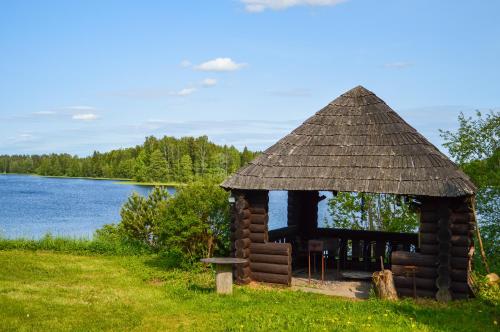 a small cabin with a roof on the grass next to a lake at Luha Talu 