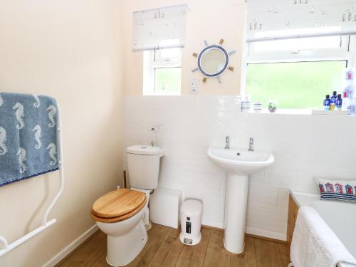 ein Bad mit einem WC und einem Waschbecken in der Unterkunft The Cranny in Norwich