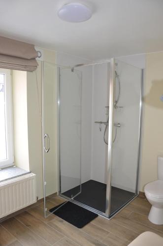 een glazen douche in een badkamer met een toilet bij Le Panorama in La-Roche-en-Ardenne