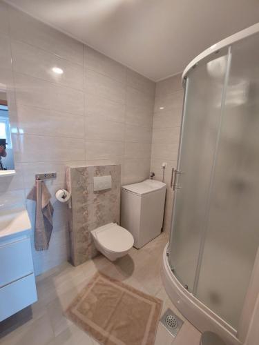 La salle de bains est pourvue d'une douche et de toilettes. dans l'établissement Apartmani Elisa, à Stari Grad