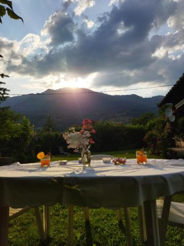 a table with a view of the mountains at NOMAD ALP B&B in Marthod