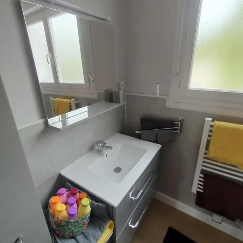 a bathroom with a sink and a mirror at charmante maison entre mer et campagne in La Jarrie