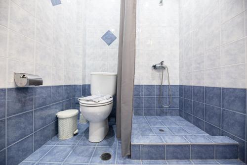 uma casa de banho com um WC e um chuveiro em Evita's Resort em Poros