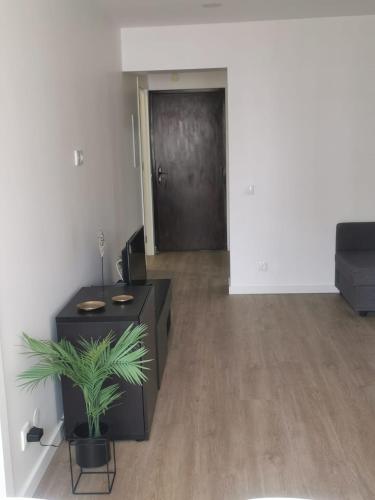 Rocha Apartment Club