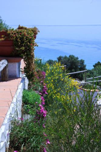 a garden with flowers on the side of a building at Holiday Lodge al Porto in Mattinata