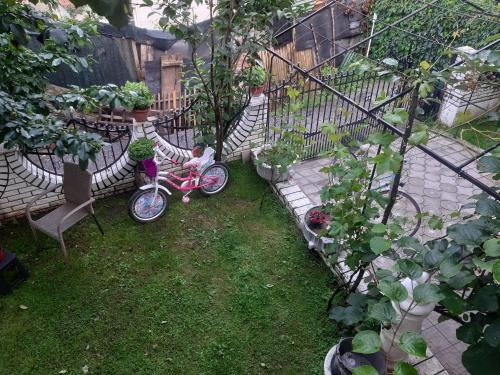 a little girl sitting on a bike in a garden at Vila Mir in Pirot