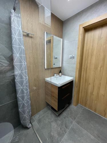 a bathroom with a sink and a shower at Apartament Na Wzgórzu in Iwonicz-Zdrój