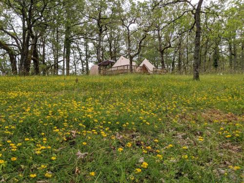 a field of flowers with a house in the background at Horizon Mohair in Saint-Projet