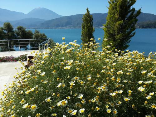 Un paisaje natural cerca del hotel