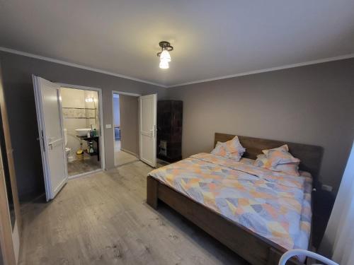 a bedroom with a bed and a bathroom at Casa Berzelor in Sînmartin