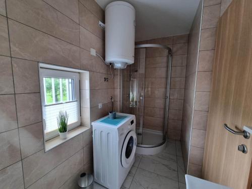 Koupelna v ubytování Apartmaji Ribic