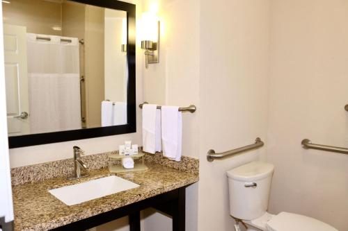 a bathroom with a sink and a toilet and a mirror at Holiday Inn Express & Suites Houston Northwest-Brookhollow, an IHG Hotel in Houston