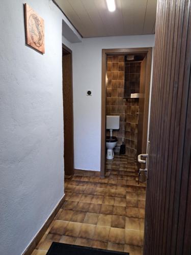 a hallway with a bathroom with a toilet in it at Ozy's place in Kamnik