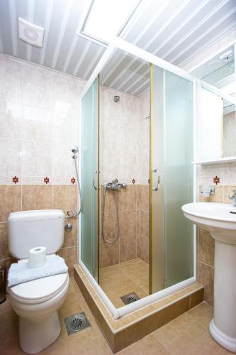 a bathroom with a shower and a toilet and a sink at Tanja Apartments in Rafailovici