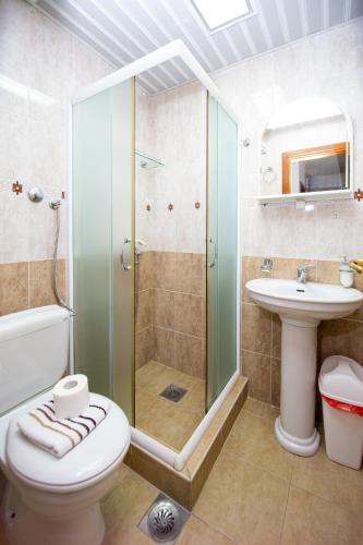 a bathroom with a shower and a toilet and a sink at Tanja Apartments in Rafailovici