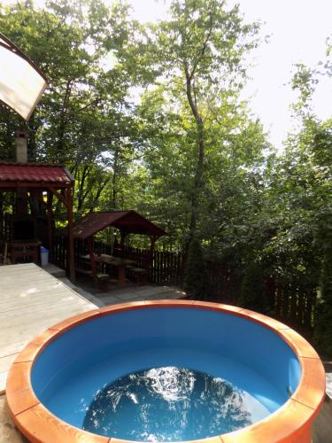 Piscina en o cerca de Hegyi-lak vendégház