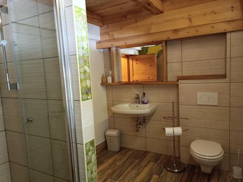 y baño con aseo y lavamanos. en Pr Močnk, en Bled