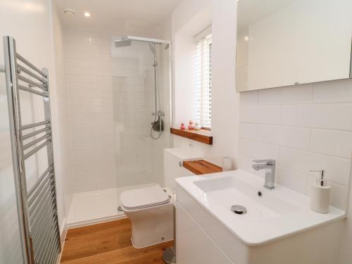 een badkamer met een wastafel, een toilet en een douche bij Pear Tree Cottage in Saltash