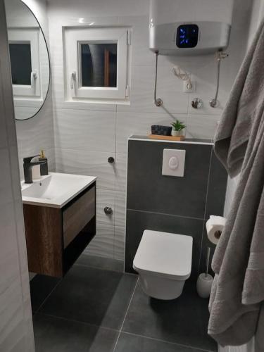 a bathroom with a white toilet and a sink at Apartman Marla in Sevid