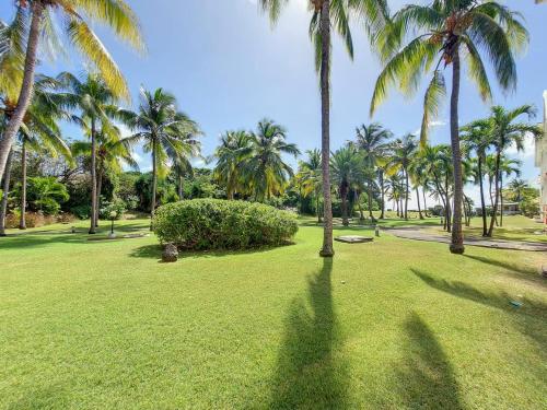a group of palm trees in a park with green grass at Ti'Masani in Saint-François