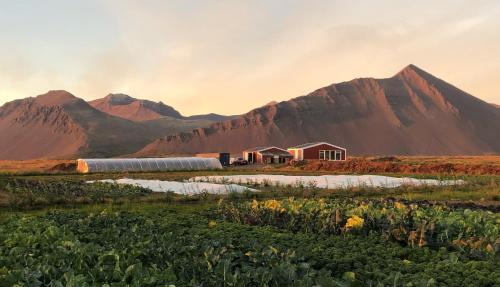 Gallery image of Rustic Farmhouse - Narfasel in Akranes
