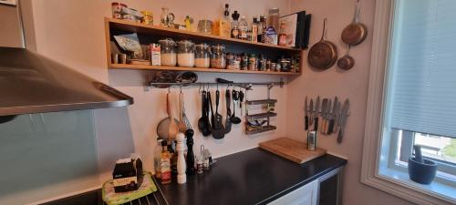 a kitchen with a counter with utensils on the wall at Apartement in Drammen close to the main city in Drammen