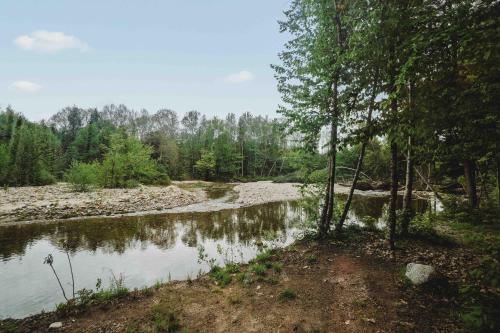 a body of water with trees on the shore at Lumen Nature Retreat in Woodstock