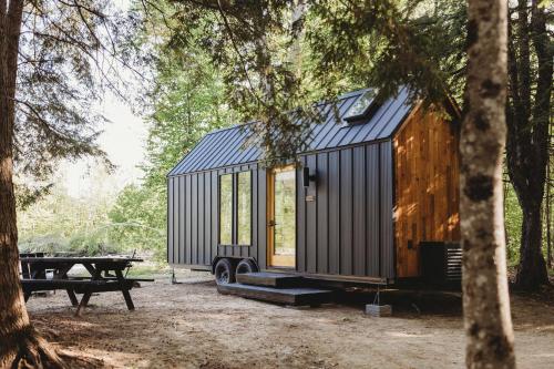 a black tiny house in the woods with a picnic table at Lumen Nature Retreat in Woodstock