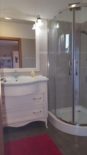 een badkamer met een douche, een wastafel en een spiegel bij villa frontière suisse Topdestination-Annemasse in Gaillard