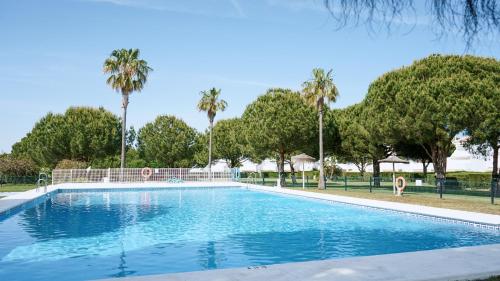 una piscina con palmeras en el fondo en Novo Blue, en Chiclana de la Frontera