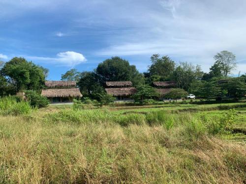 un grupo de casas con techo de paja en un campo en Web of Life Resort Wasgamuwa, en Talakolawela