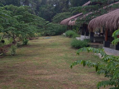 un patio con un poco de hierba y algunos árboles en Web of Life Resort Wasgamuwa, en Talakolawela