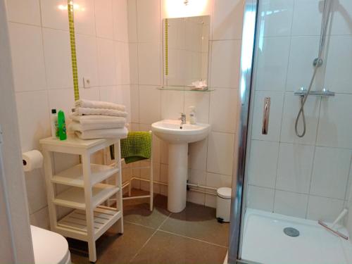 a white bathroom with a sink and a shower at La Cour in Villefagnan