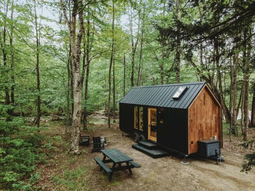 a black tiny house in the woods with a picnic table at Lumen Nature Retreat in Woodstock