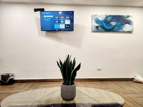 a potted plant sitting on a table in a room at Departamento Pitagoras No 2 in Ciudad Juárez