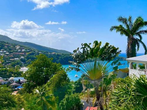 - une vue sur l'océan depuis une ville bordée de palmiers dans l'établissement Villa Dezil - Villa de Standing 6/8 pers - Piscine, à Les Trois-Îlets