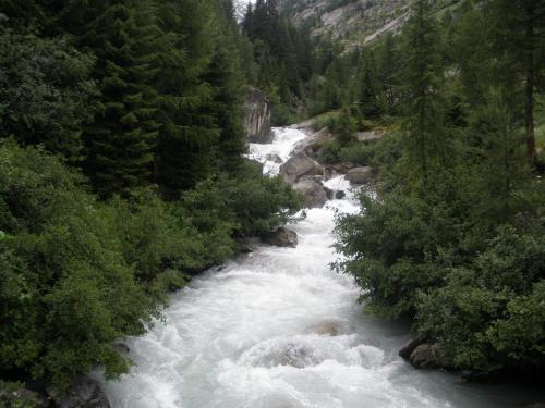 a river in the middle of a forest at Hotel Rhonequelle in Oberwald