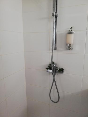 La salle de bains blanche est pourvue d'une douche avec un tuyau. dans l'établissement AU VERT A OLIVET, à Olivet