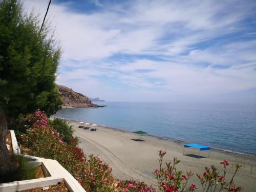a beach with umbrellas and chairs and the ocean at Harmony by the sea - 20 meters from the sea in Kaloi Limenes