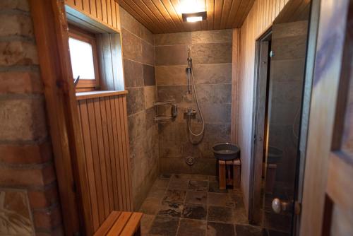 a bathroom with a shower and a walk in shower at Pruuli Holiday Farm in Sõru