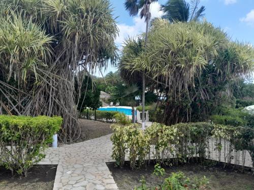 a garden with palm trees and a fence at Au Village de Menard in Saint-Louis