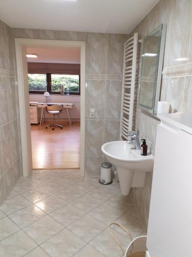 een badkamer met een wastafel, een spiegel en een bureau bij Radebeul mit Flair in Radebeul