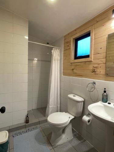 a bathroom with a toilet and a sink and a window at BordeArroyo Malalcahuello in Malalcahuello