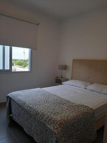 Un dormitorio con una cama grande y una ventana en Hospedaje Departamentos Costa del Uruguay en Concepción del Uruguay